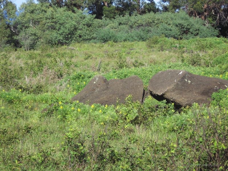 lying maoi Rano Raraku